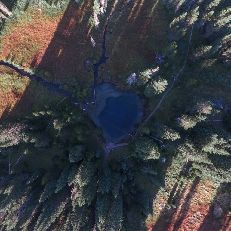 Flyfoto av et lite skogsvann omgitt av tett barskog